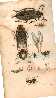 Index picture i_Dir\i_Page1.htm